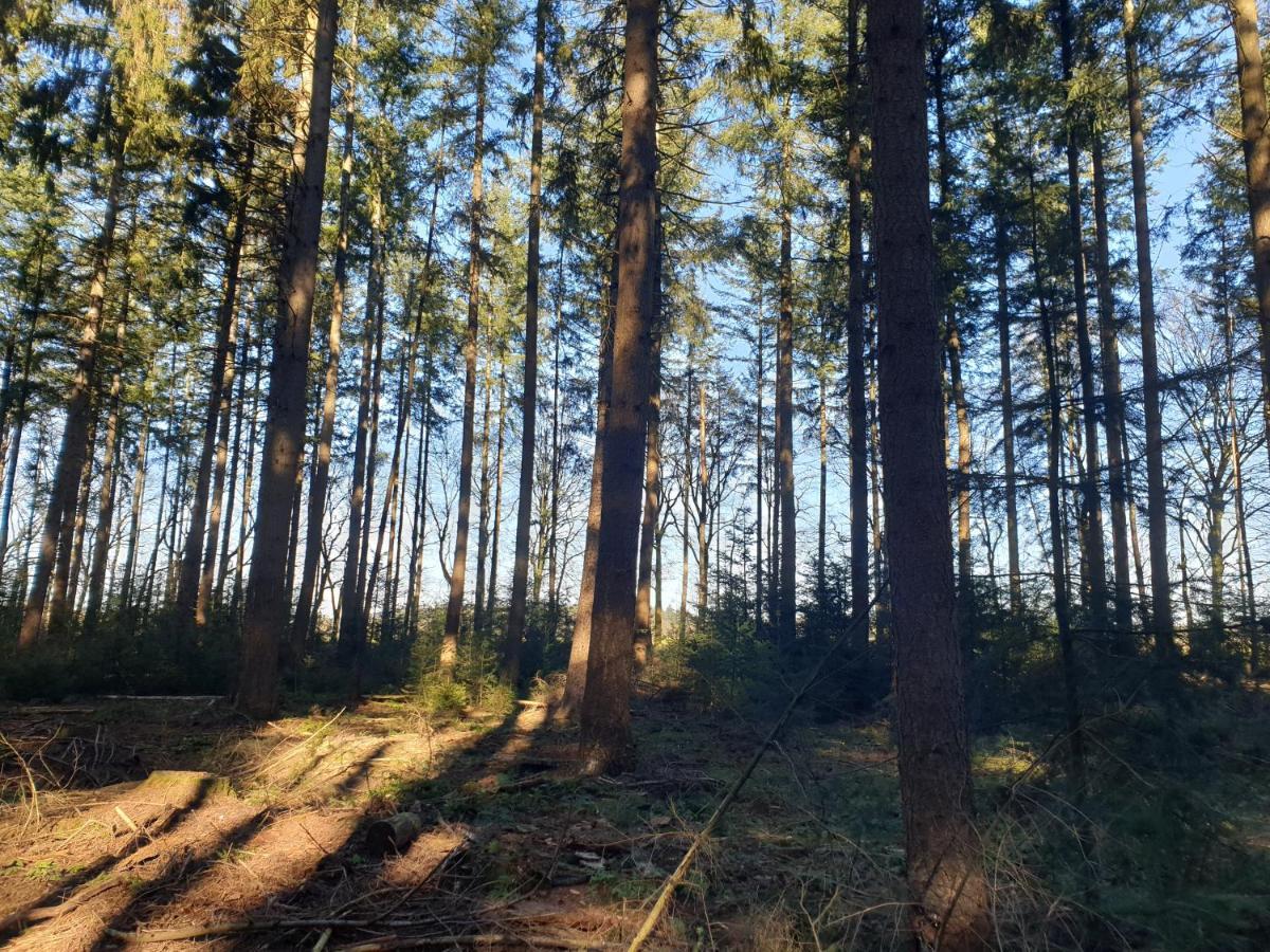 Vila De Eekhoorn Putten Exteriér fotografie