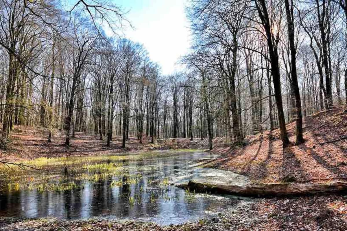 Vila De Eekhoorn Putten Exteriér fotografie